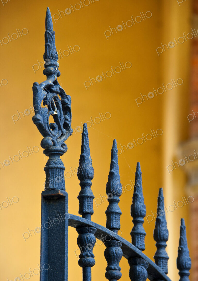 Wrought Iron Gate Detail