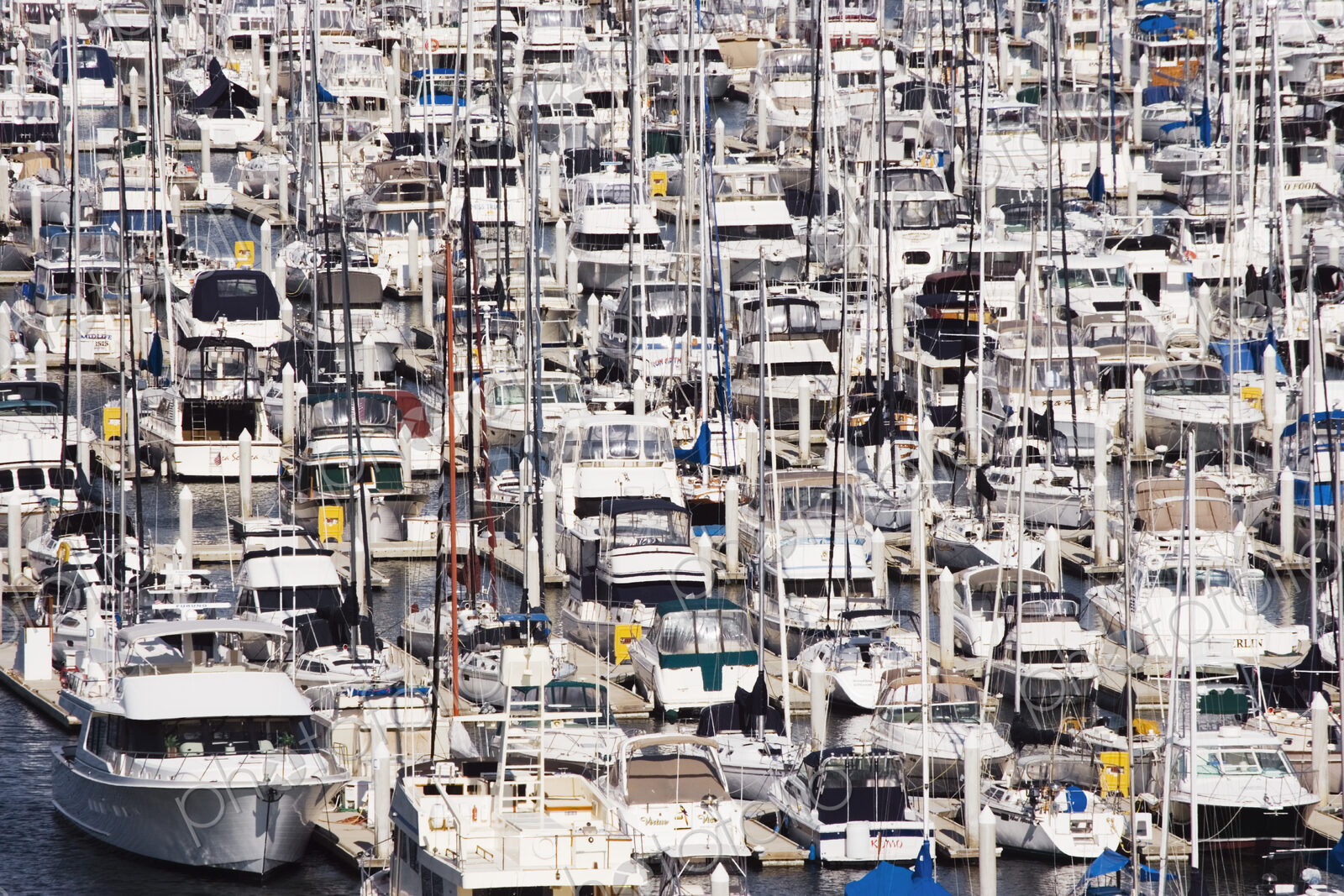 Yacht Marina