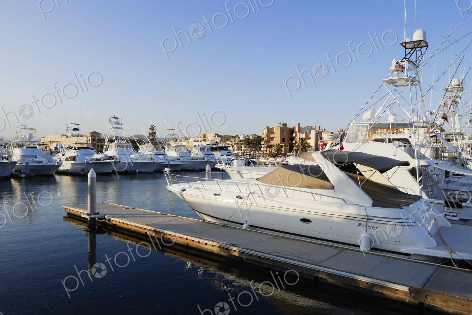 Yachts Moored in a Marina