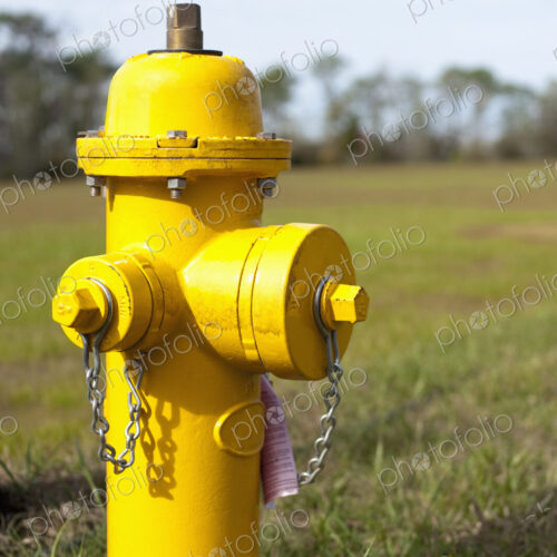Yellow Fire Hydrant