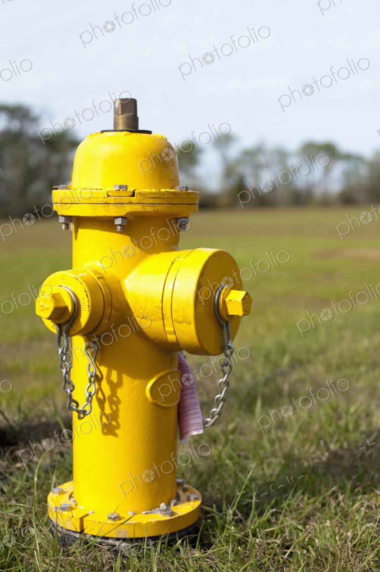 Yellow Fire Hydrant