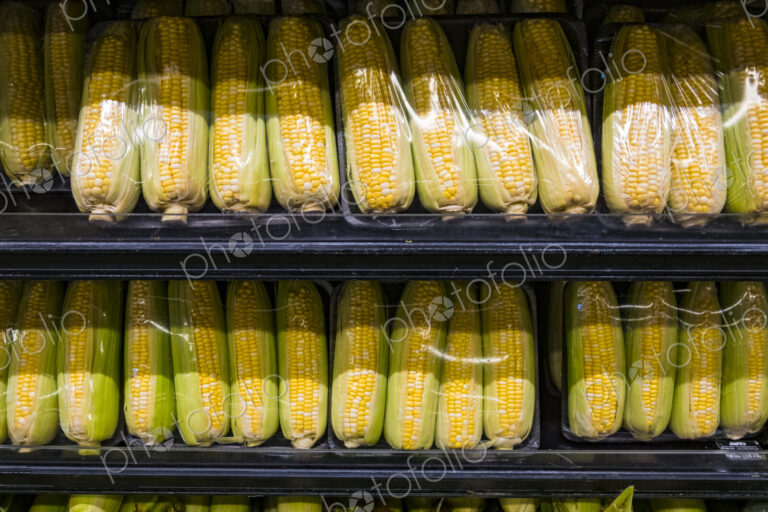 Yellow sweetcorn husks packaged in plastic on a supermarket shelf.