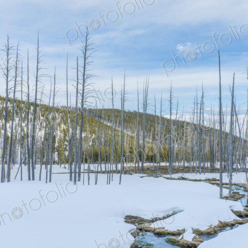 Yellowstone National Park, Obsidian Creek in the snow, Yellowstone National Park, Obsidian Creek in the snow,