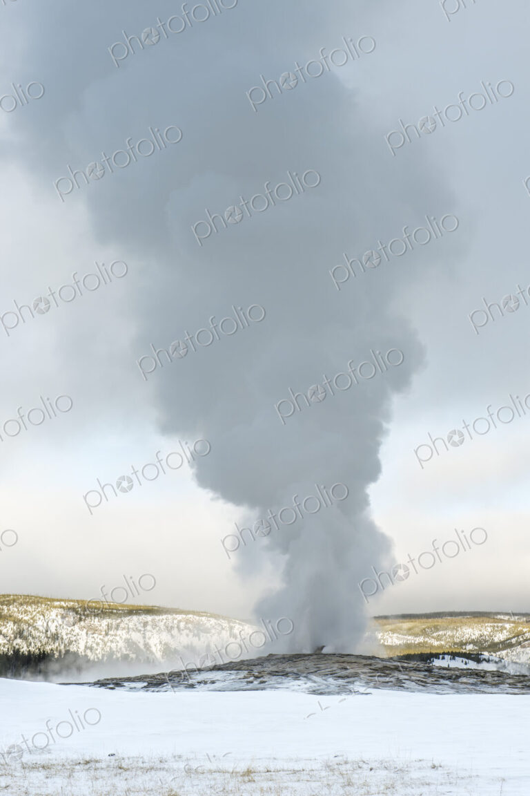Yellowstone National Park, Old Faithful thermal cone geyser in the winter, a plume of…