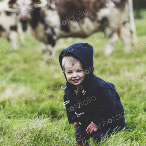 Young boy standing on a pasture, with English Longhorn cows in the background.