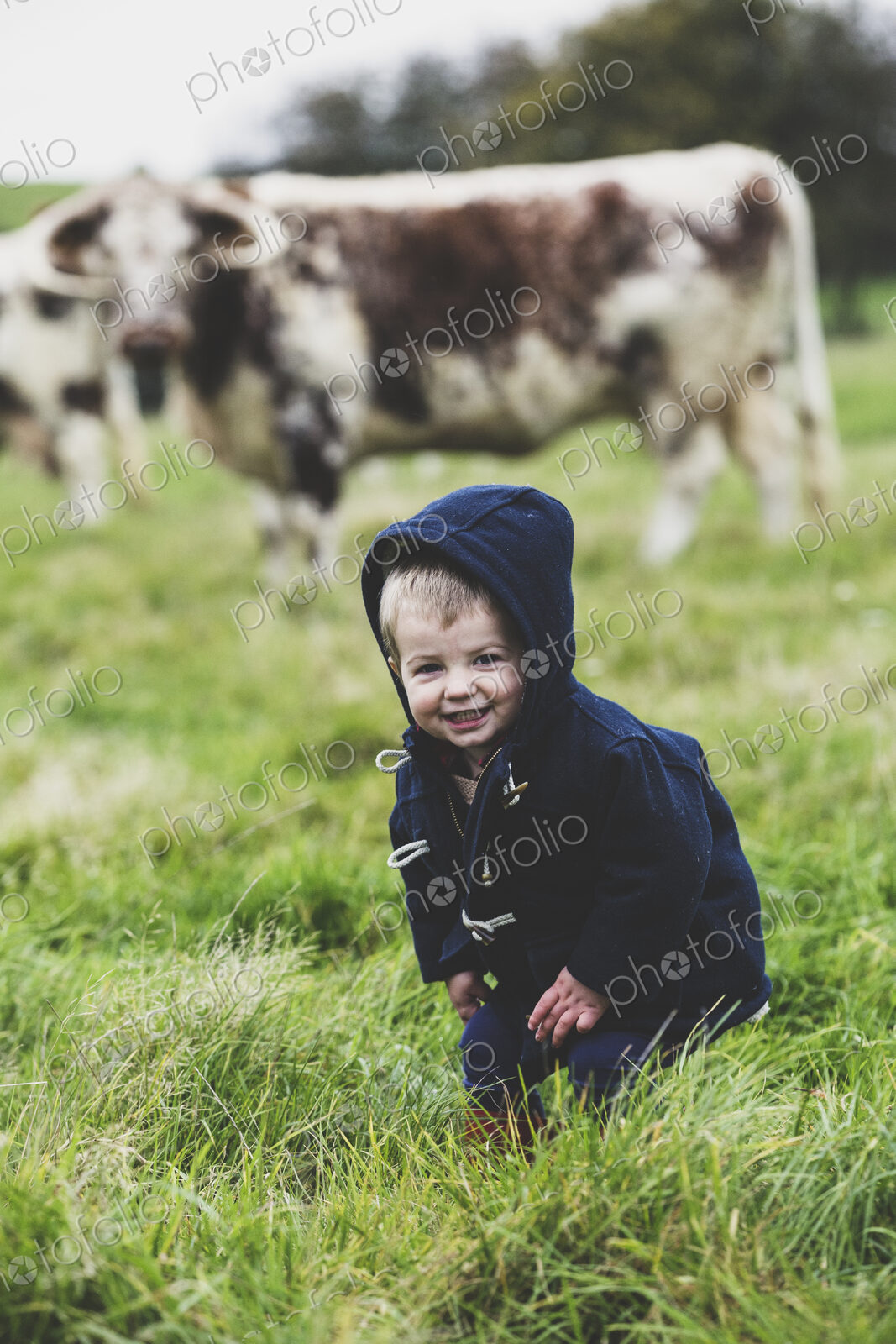 Young boy standing on a pasture, with English Longhorn cows in the background.