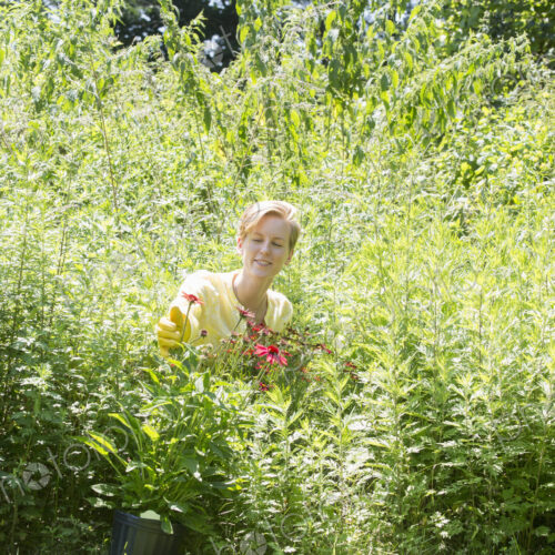 Young woman amid tall grasses and flowering plants in a meadow