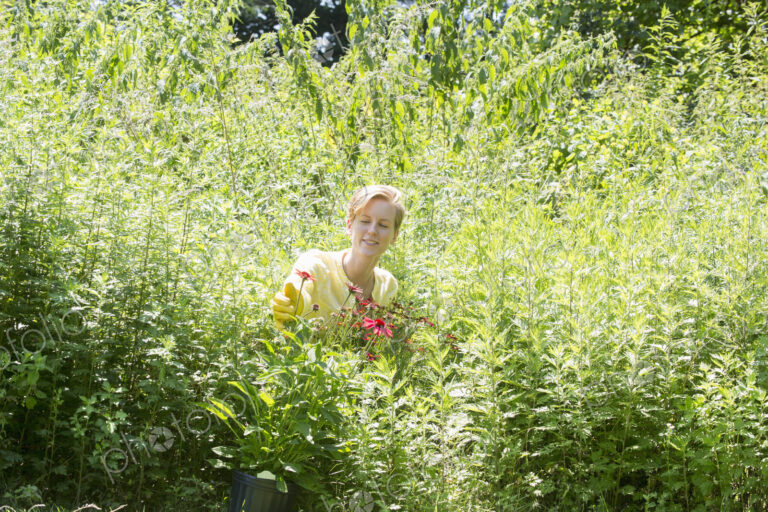 Young woman amid tall grasses and flowering plants in a meadow