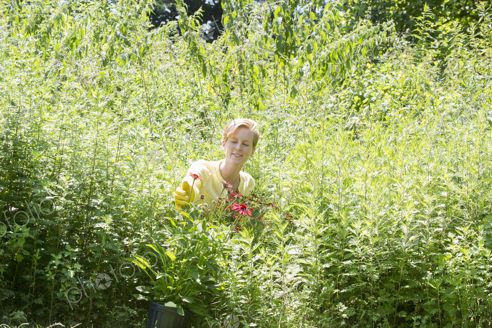 Young woman amid tall grasses and flowering plants in a meadow