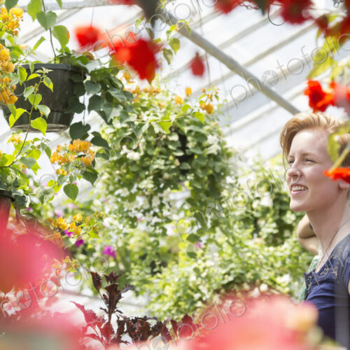 Young woman looking at colourful flowering plants in hanging baskets in a garden centre.