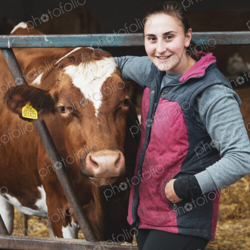 Young woman standing next to Guernsey cow on a farm.
