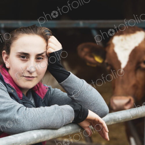 Young woman standing next to Guernsey cow on a farm.