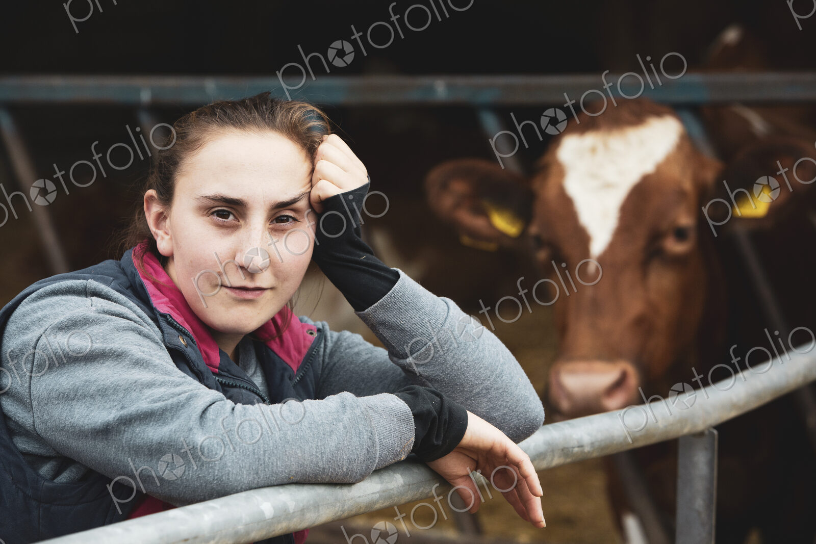 Young woman standing next to Guernsey cow on a farm.