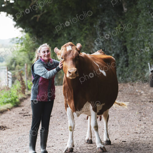 Young woman with Guernsey cow standing on rural road.