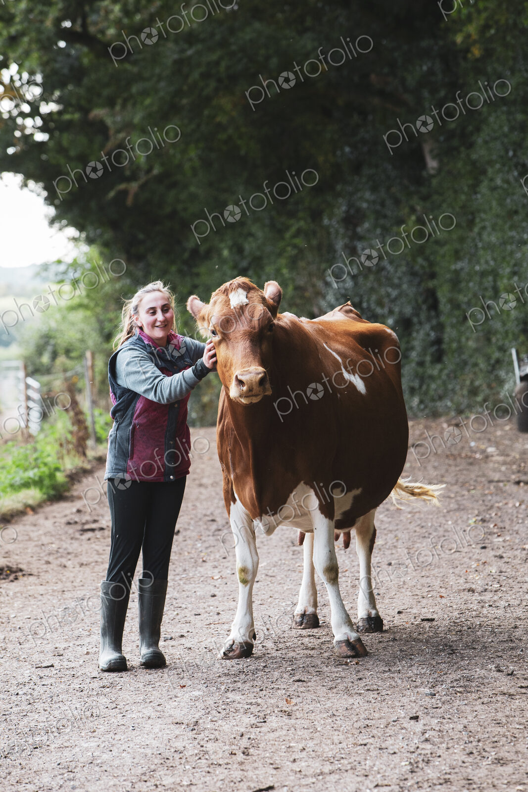 Young woman with Guernsey cow standing on rural road.