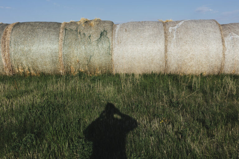 Row of hay bales, photographer’s shadow in foreground, near Climax, Saskatchewan, Canada.