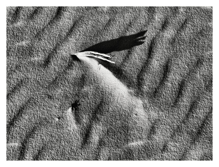 Textures in the sand, ridges and shadows.