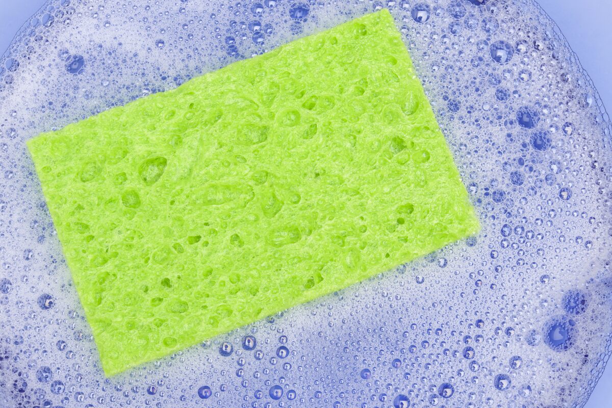 Objects category — Close-up of a vibrant green sponge resting in a bowl of foamy soapy water. The image… Close-up of a vibrant green sponge resting in a bowl of foamy soapy water. The image…